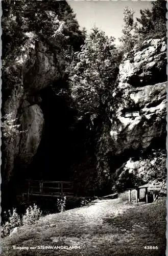 57166 - Niederösterreich - Steinwandklamm , Eingang zur Klamm - gelaufen 1963