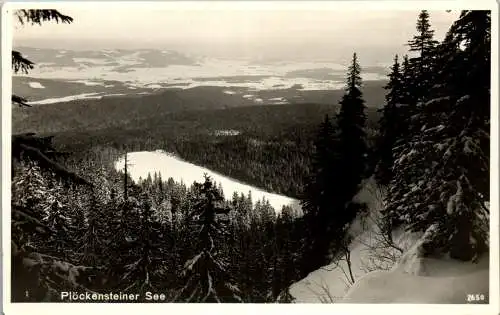 57172 - Tschechien - Plöckensteiner See , Plené jezero , Panorama - nicht gelaufen