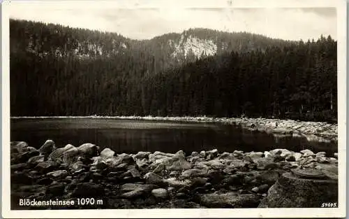 57173 - Tschechien - Plöckensteiner See , plené jezero , Blöckensteinersee , Panorama - nicht gelaufen