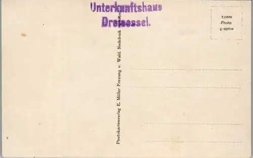 57173 - Tschechien - Plöckensteiner See , plené jezero , Blöckensteinersee , Panorama - nicht gelaufen