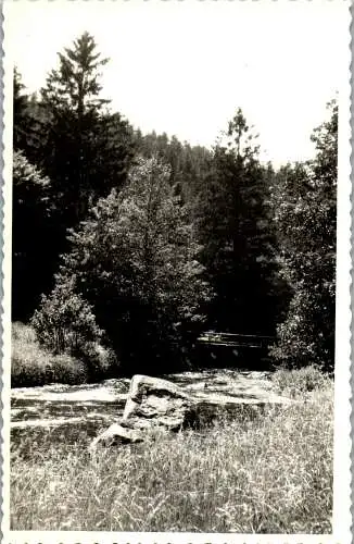 57178 - Oberösterreich - Rohrbach , Haslach , Motiv , Ansicht - gelaufen 1955