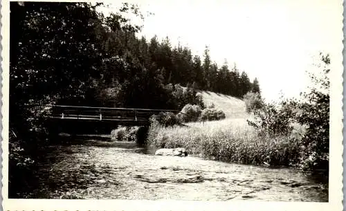 57188 - Oberösterreich - Rohrbach , Haslach , Motiv , Ansicht - gelaufen 1955