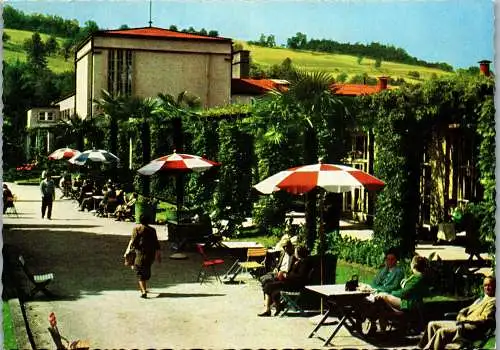 57219 - Oberösterreich - Bad Schallerbach , Palmengarten - gelaufen 1964