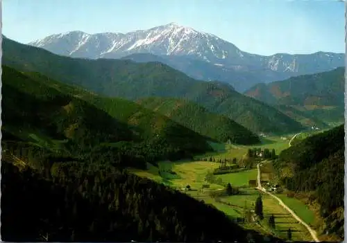 57244 - Niederösterreich - Gutenstein , Blick ins Klostertal gegen Schneeberg vom Mariahilfberg - nicht gelaufen