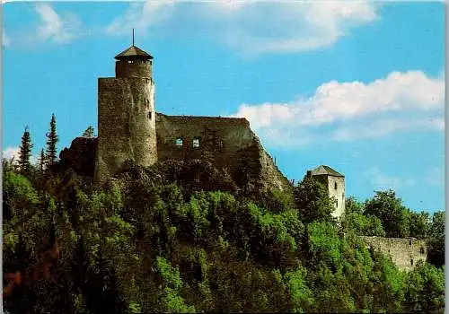 57293 - Niederösterreich - Kaumberg , Araburg , Ruine - nicht gelaufen