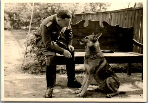 57430 - Militaria - Aufnahme , Uniform , Schäfer , Schäferhund