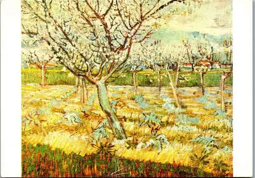 57525 - Künstlerkarte - Vincent van Gogh , Obstgarten in Arles - nicht gelaufen