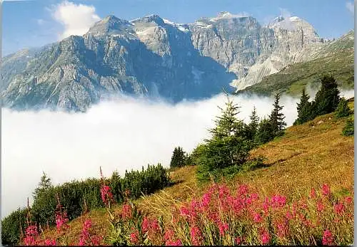 57529 - Italien - Stubaier Alpen , Blick auf Tribulaun - nicht gelaufen