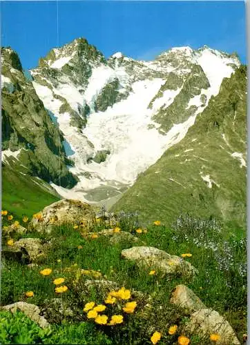 57532 - Frankreich - Col du Lautaret , Blick zur Meije - nicht gelaufen