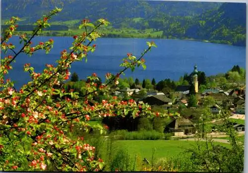 57534 - Salzburg - St. Gilgen , am Wolfgangsee - nicht gelaufen