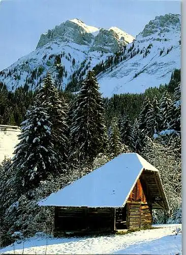 57535 - Schweiz - Eriz , Winterlandschaft - nicht gelaufen