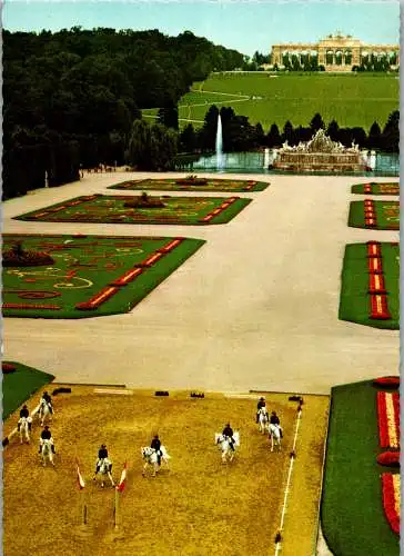 57568 - Wien - Schönbrunn , Schloßpark mit Gloriette , Lipizzaner Pferde - nicht gelaufen