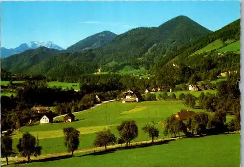 57641 - Steiermark - Palfau , Blick zum Buchstein - gelaufen