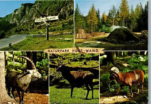 57714 - Niederösterreich - Hohe Wand , Naturpark , Kohlenmeiler - gelaufen 1999