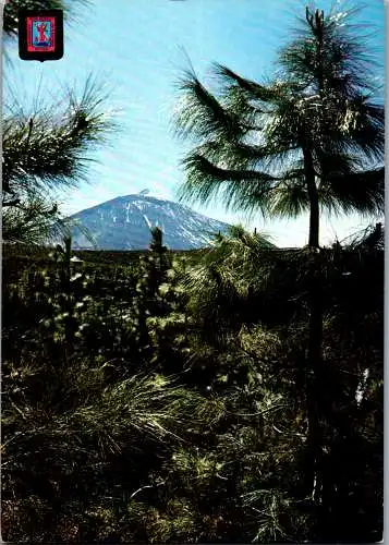 57734 - Spanien - Teneriffa , El Teide - gelaufen