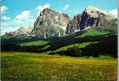 57789 - Italien - Dolomiten , Alpe di Siusi , Sassolungo e Sassopiatto , Seiseralm , Langkofel , Plattkofel - gelaufen 1978