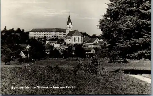 57832 - Niederösterreich - Steinakirchen am Forst , Panorama - gelaufen 1954