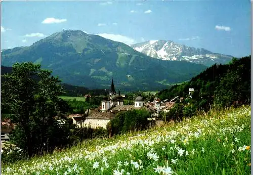 57875 - Steiermark - Mariazell , Narzissenblüte mit Gemeindealpe und Ötscher - gelaufen 1996