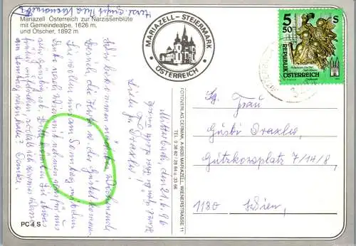 57875 - Steiermark - Mariazell , Narzissenblüte mit Gemeindealpe und Ötscher - gelaufen 1996