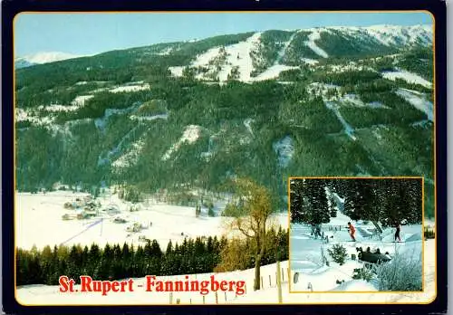 57947 - Salzburg - Fanningberg , Weißpriach , St. Rupert , Winter , Panorama - gelaufen 1990