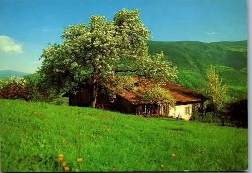 57998 - Italien - Südtirol , Frühling , Bauernhaus - gelaufen