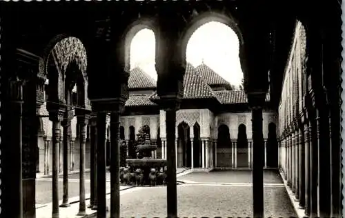 58012 - Spanien - Granada , Alhambra , Patio de los Leones - gelaufen 1956