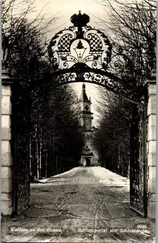 58014 - Niederösterreich - Wallsee , an der Donau , Schlossportal mit Schloßmotiv - gelaufen 1959