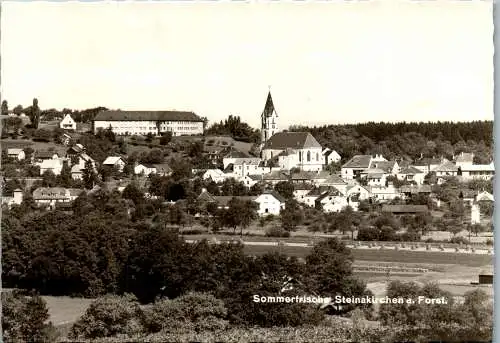 58115 - Niederösterreich - Steinakirchen am Forst , Panorama - gelaufen