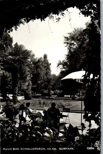 58118 - Oberösterreich - Bad Schallerbach , Kurpark - gelaufen 1967