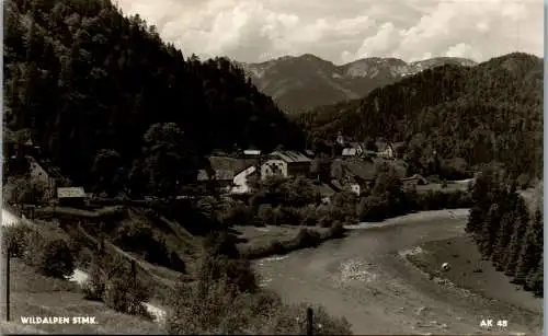 58157 - Steiermark - Wildalpen , Panorama - gelaufen 1962