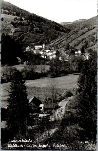 58160 - Steiermark - Waldbach , Panorama - gelaufen