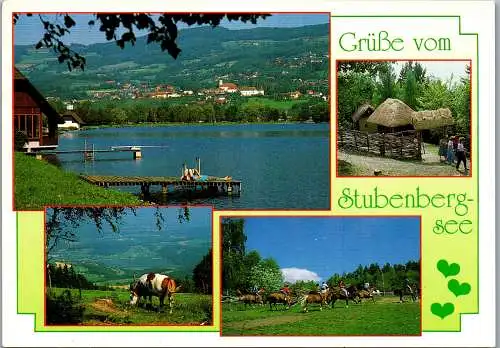 58163 - Steiermark - Stubenberg am See , Stubenbergsee , Mehrbildkarte - gelaufen 1994