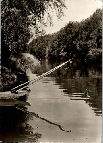 58172 - Niederösterreich - Fischamend , Donau Motiv - gelaufen 1979