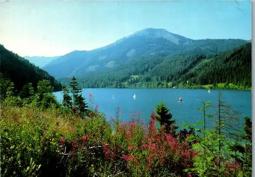 58271 - Steiermark - Mariazell , Erlaufsee , Panorama - gelaufen 1996