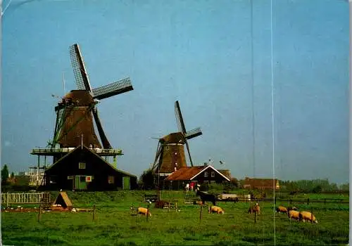 58291 - Niederlande - Zaandam , Zaanse Schans , Windmühle , Verfmolen , Oliemolen - gelaufen 1988