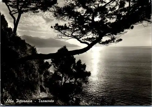 58387 - Italien - Elba , Tramonto , Pittoresca - gelaufen 1959