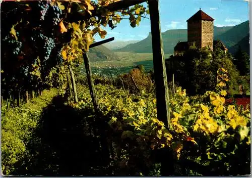 58444 - Italien - Meran , Castel Tirolo , Schloss Tirol - gelaufen 1974