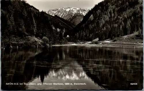 58621 - Steiermark - Seewiesen , Grün See gegen Aflenzer Staritzen - gelaufen 1962