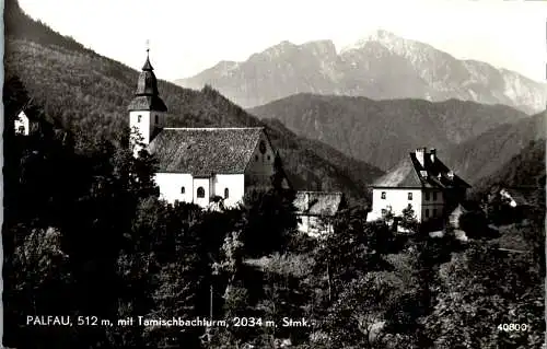 58654 - Steiermark - Palfau , mit Tamischbachturm - gelaufen 1970