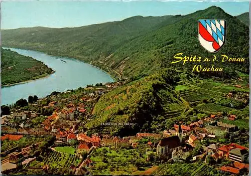 58685 - Niederösterreich - Spitz an der Donau , Wachau , Panorama - gelaufen 1983