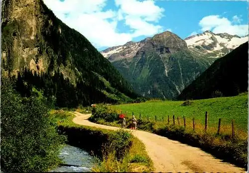 58688 - Salzburg - Bad Gastein , Partie Malerwinkel mit Tischlerkargletscher - gelaufen 1973