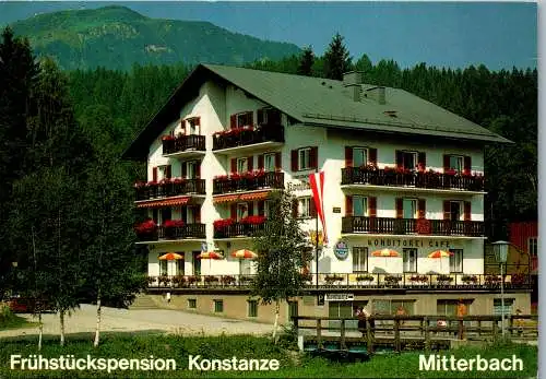 58730 - Niederösterreich - Mitterbach , Pension Konstanze , Konstanze Markusich - gelaufen 1992