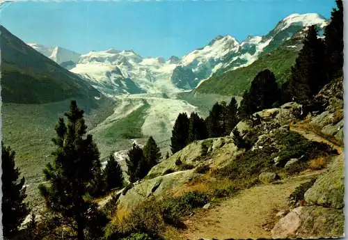 58781 - Schweiz - Pontresina , Morteratschgletscher mit Piz Palü , Bellavista und Piz Bernina - gelaufen 1964