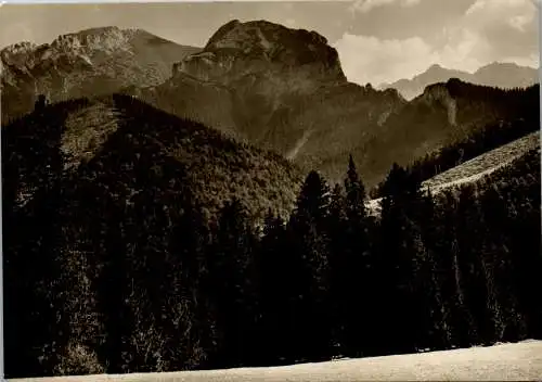 58793 - Tschechien - Vysoke Tatry , Javorina , pohlad na Muran a Novy - gelaufen 1964