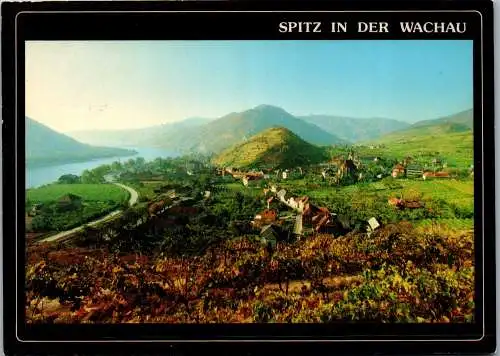 58819 - Niederösterreich - Spitz an der Donau , Weingärten mit Tausendeimerberg und Donautal - gelaufen 1987