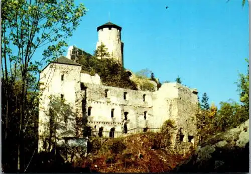 58839 - Niederösterreich - Kaumberg , Ruine Araburg - gelaufen 1987