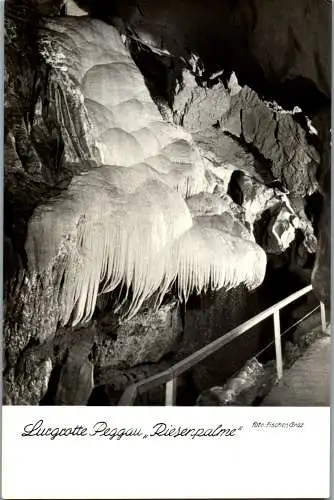 58864 - Steiermark - Peggau , Lurgrotte , Riesenpalme - gelaufen 1961