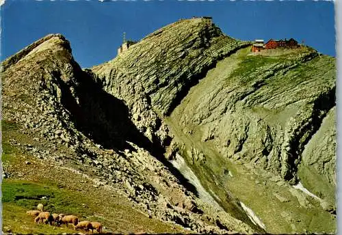 58875 - Schweiz - Säntis , Panorama - gelaufen 1963