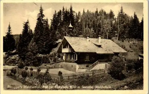 58930 - Steiermark - Krieglach , Alpl , Rosegger's Waldheimat , Waldschule - gelaufen 1949