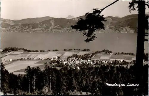 58931 - Oberösterreich - Nussdorf , am Attersee , Panorama - gelaufen 1964